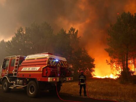 Forest Fires Force Spain to Declare National Emergency in Madrid Region