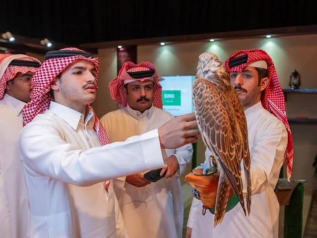 Riyadh Falcon Auction Draws Strong Demand from Buyers and Enthusiasts