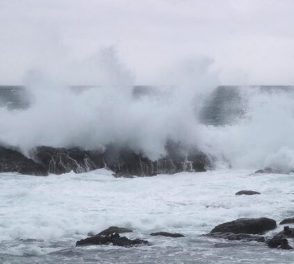 Taiwan Closes Down Ahead of Typhoon Champi, with Hundreds of Flights Cancelled