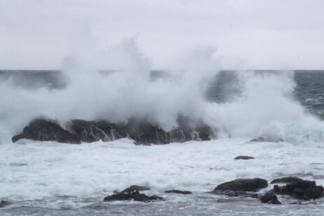 Taiwan Closes Down Ahead of Typhoon Champi, with Hundreds of Flights Cancelled