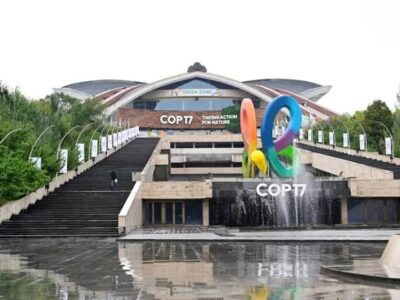 In an Effort to Save Global Biodiversity Targets, Nations Gather at COP17 in Armenia
