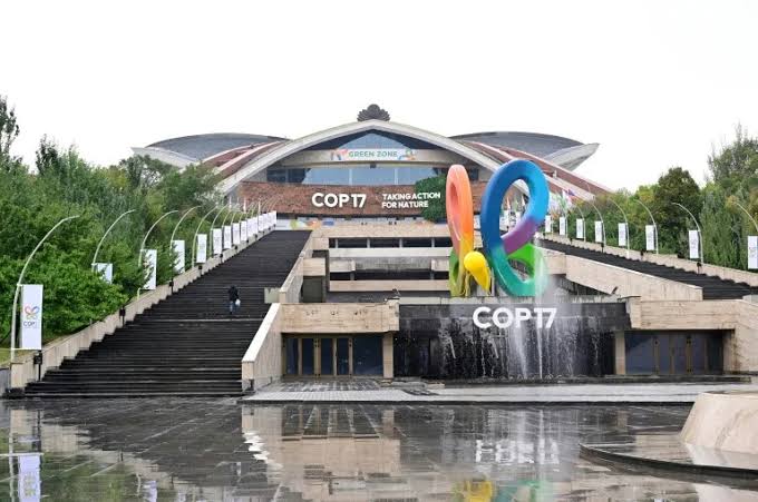 In an Effort to Save Global Biodiversity Targets, Nations Gather at COP17 in Armenia